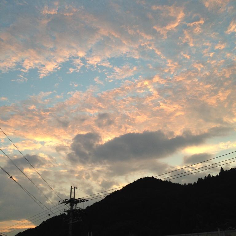 Hase Guesthouse Ittan Sakurai Exterior foto